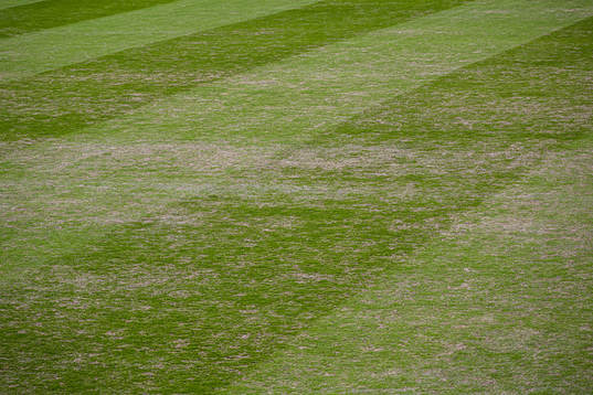 Quality of the grass at Nadderud Stadion