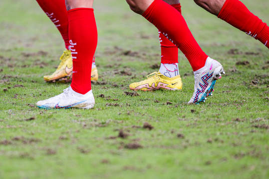 Quality of the grass at Nadderud Stadion
