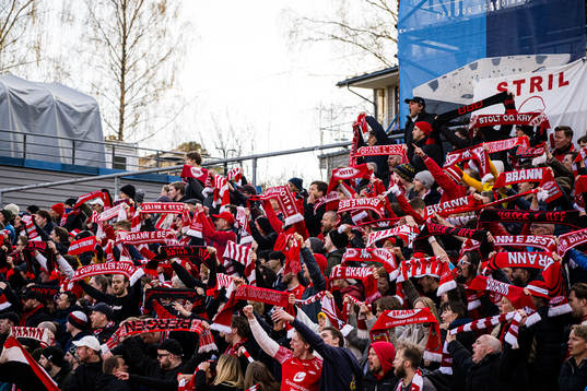 Spectators in the stands