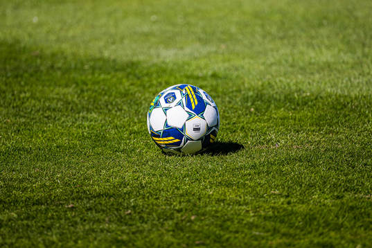 En fotboll
