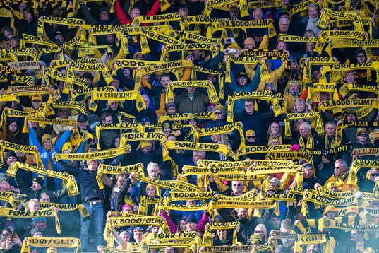 Spectators in the stands