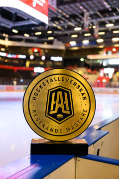 Den Hockeyallsvenska pokalen