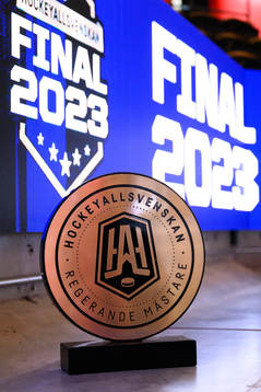 Den Hockeyallsvenska pokalen