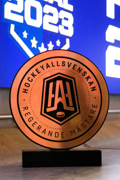 Den Hockeyallsvenska pokalen