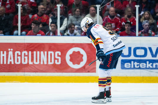 Djurgårdens Cameron Ernst Schilling deppar