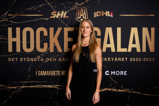 Anna Hammar, domare SDHL