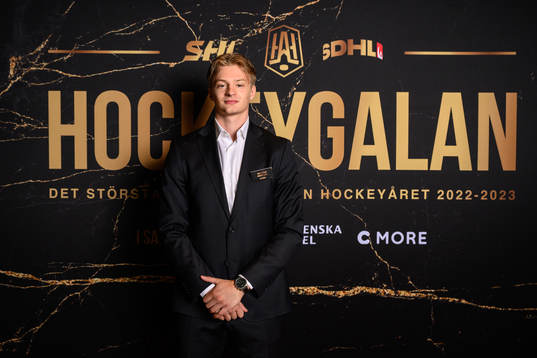 Carl Lindblom, Djurgården