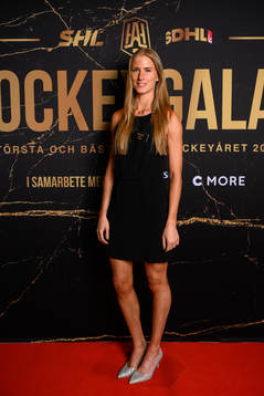 Anna Hammar, domare SDHL