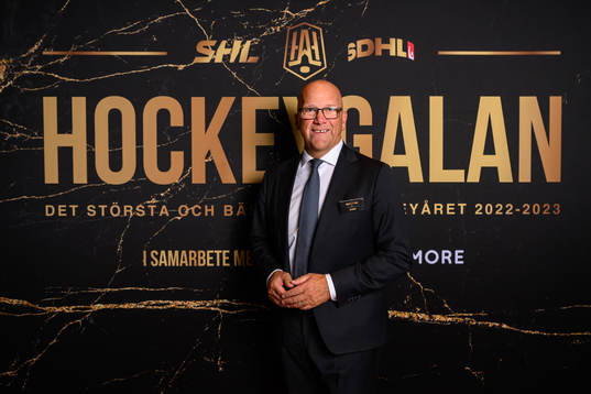 Robert Ekström, SHL