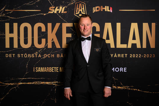 Erik Ryman, Hockeyallsvenskan