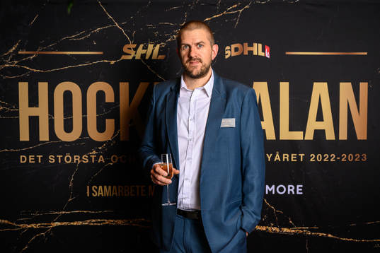 Nicklas Mether, SHL