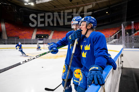 Linus Johansson and Fabian Zetterlund of Sweden at a