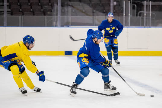 Hardy Häman Aktell and Alexander Nylander of Sweden at a