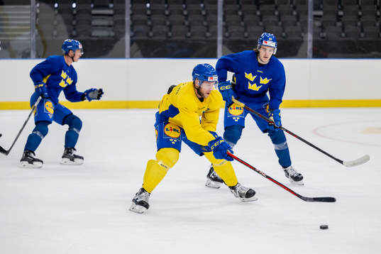 Christian Folin and Leo Carlsson of Sweden at a practice