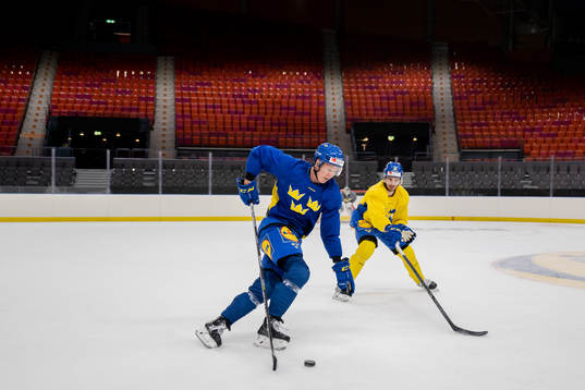 Dennis Rasmussen and Hardy Häman Aktell of Sweden at a