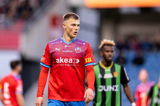 Helsingborgs Erik Ring