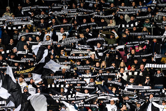 Spectators in the stands