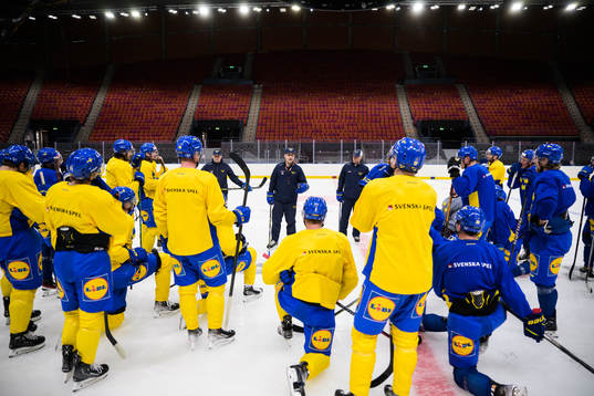 Head coach Sam Hallam of Sweden gives instructions to