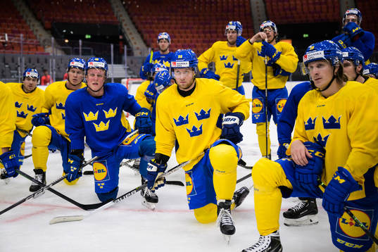 Fabian Zetterlund and Alexander Nylander of Sweden at a