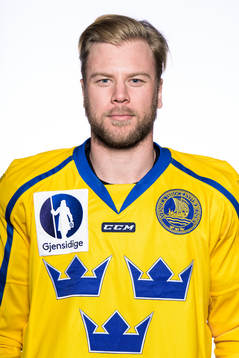 Bläddra bland fler bilder av Ice Hockey, Czech Hockey Games, Sweden, portraits 