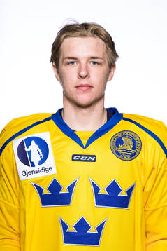 Jonatan Berggren of Sweden poses for a portrait