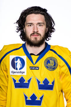 Dennis Everberg of Sweden poses for a portrait