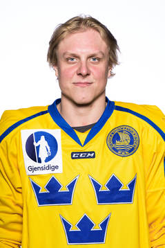 Fabian Zetterlund of Sweden poses for a portrait
