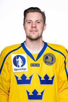 Joel Persson of Sweden poses for a portrait