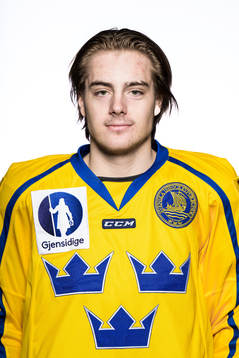 Leo Carlsson of Sweden poses for a portrait