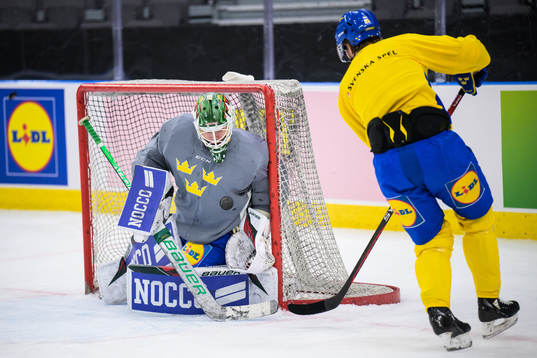 Jesper Wallstedt and Jacob de la Rose of Sweden at a