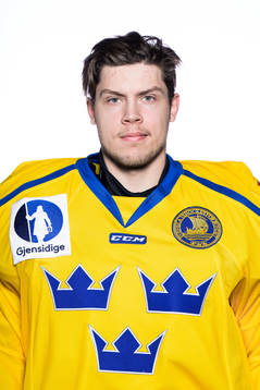 Jesper Wallstedt of Sweden poses for a portrait