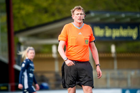 Domare Niklas Andersson
