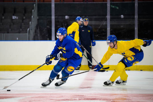 Alexander Nylander and Hardy Häman Aktell of Sweden at a