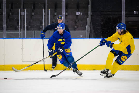 Alexander Nylander and Linus Johansson of Sweden at a