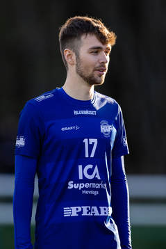 Hovshagas Oskar Bolin