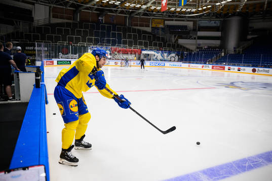 Henrik Tömmernes of Sweden at a practice session