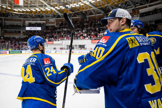 Oscar Lindberg and goaltender Jesper Wallstedt of Sweden