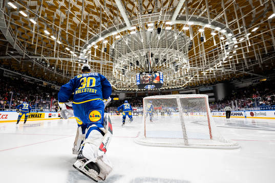 goaltender Jesper Wallstedt of Sweden