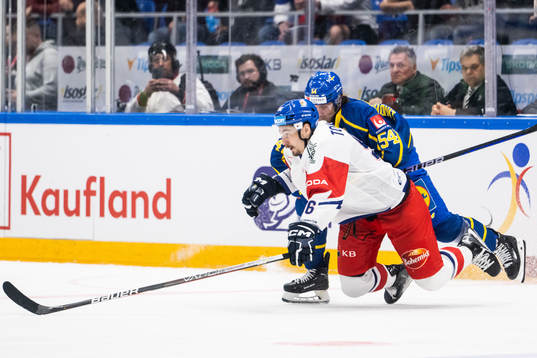 David Tomasek of Czech Republic and Anton Lindholm of Sweden