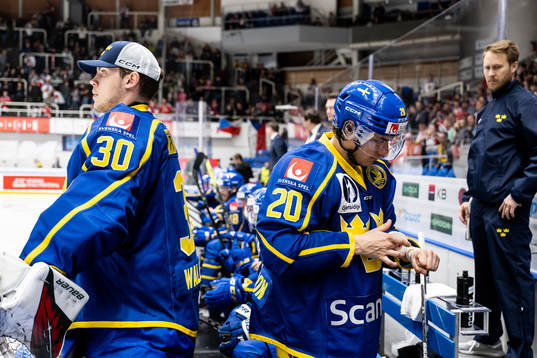 Goaltender Jesper Wallstedt and André Petersson of Sweden