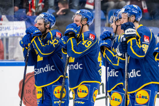 Lukas Bengtsson and Fabian Zetterlund of Sweden look