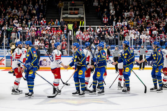 Players of Czech Republic and of Sweden