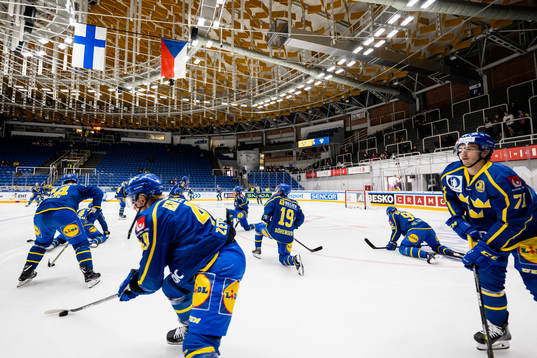 Players of Sweden
