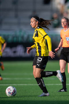 Häckens Rusul Rosa Kafaji