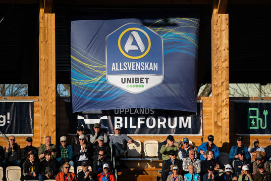 Allsvenskans logotyp på en flagga