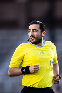 Domare Paul Shamoun