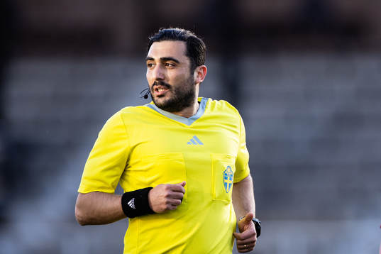 Domare Paul Shamoun