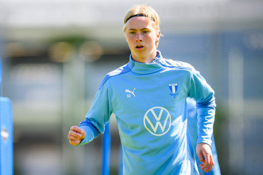 Daniel Gudjohnsen