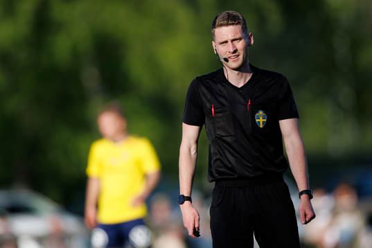 Domare Rasmus Eriksson