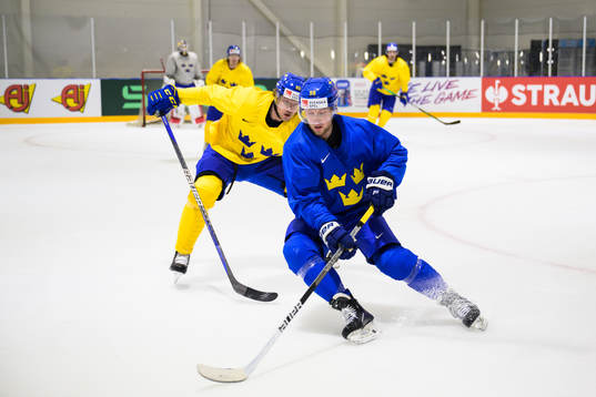 Jacob de la Rose and Alexander Nylander of Sweden at a
